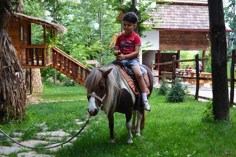 Pensiunea Stejarul Mierea Esterno foto